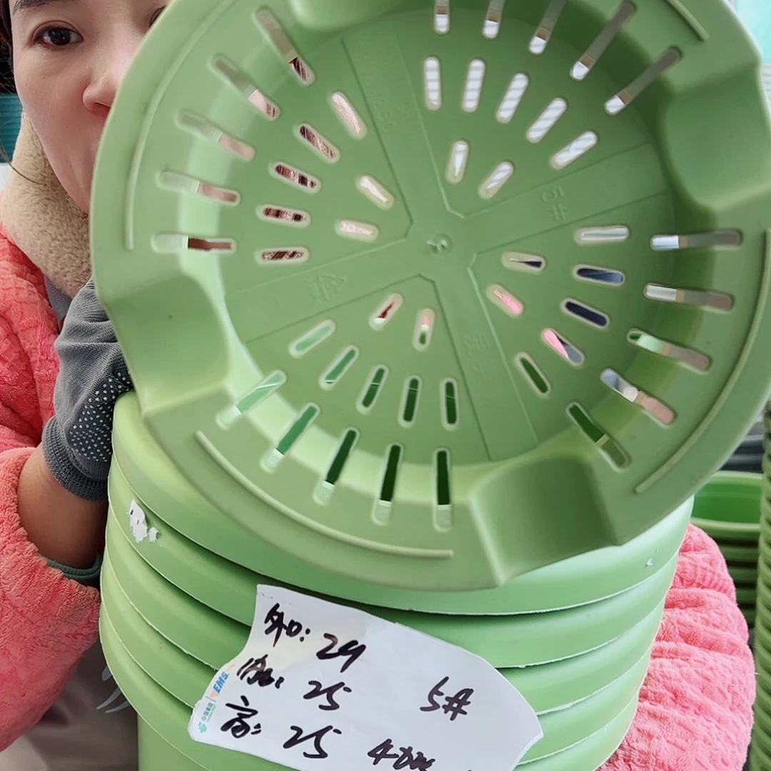 四季盆5#果绿色6个无托