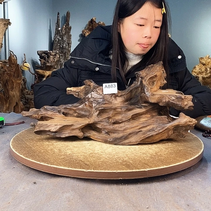 茶盏D***n883株木的随行的根艺