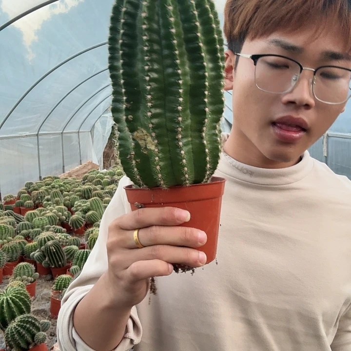 李****无花朵彩草哈哈哈哈哈哈