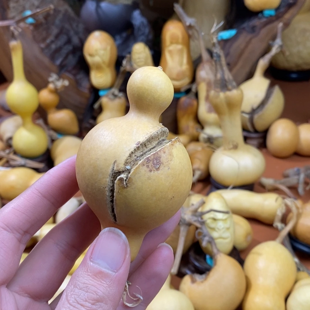 木***生教练咯教练考虑考虑