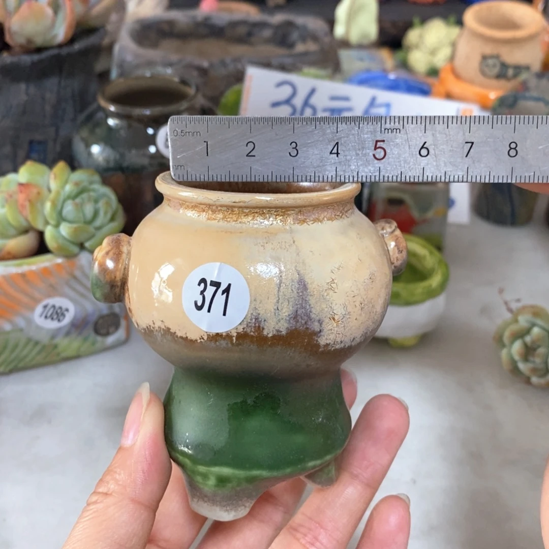 拍5送一个小礼物