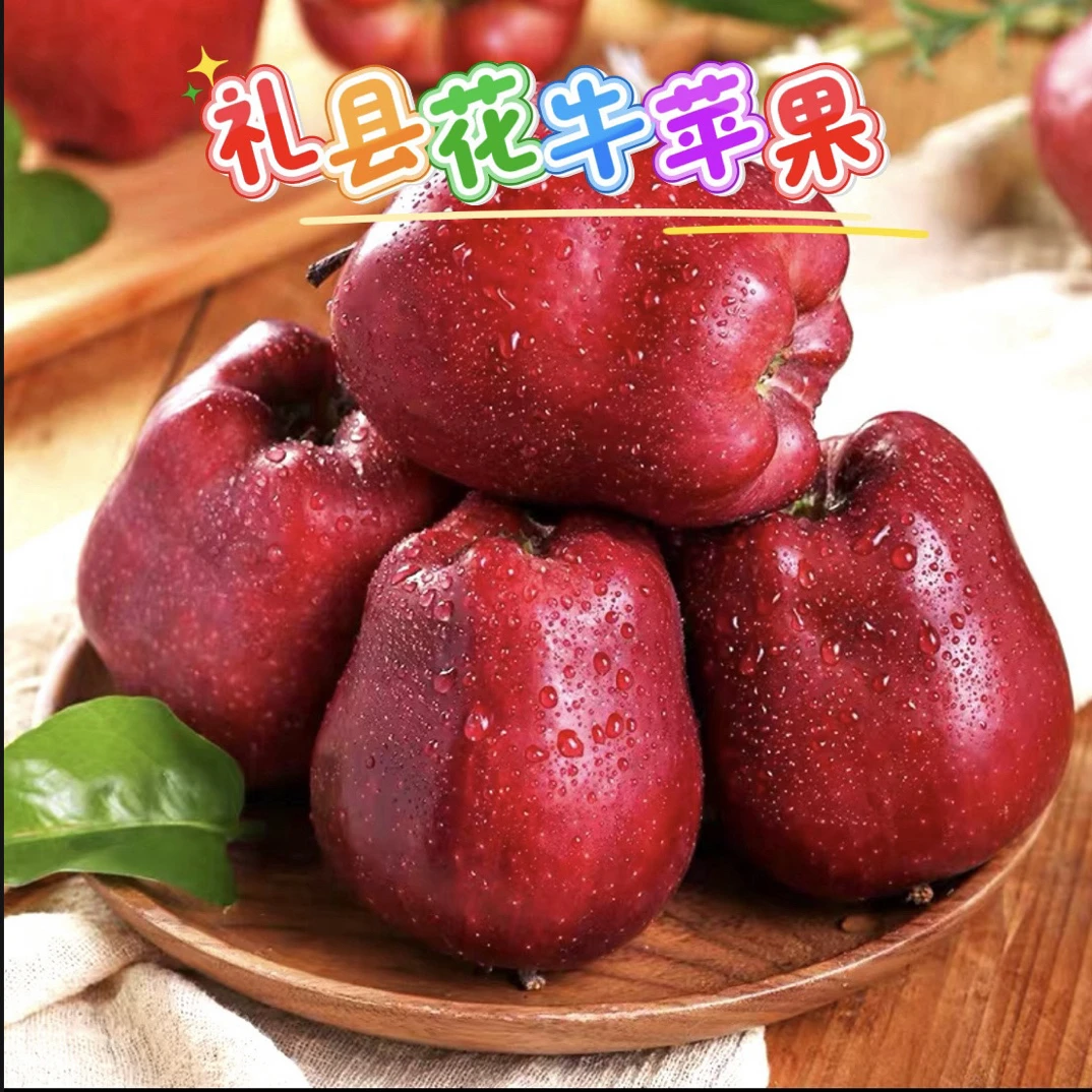 甘肃礼县花牛苹果新鲜采摘脆粉两吃6斤左右/箱12个装全国包邮