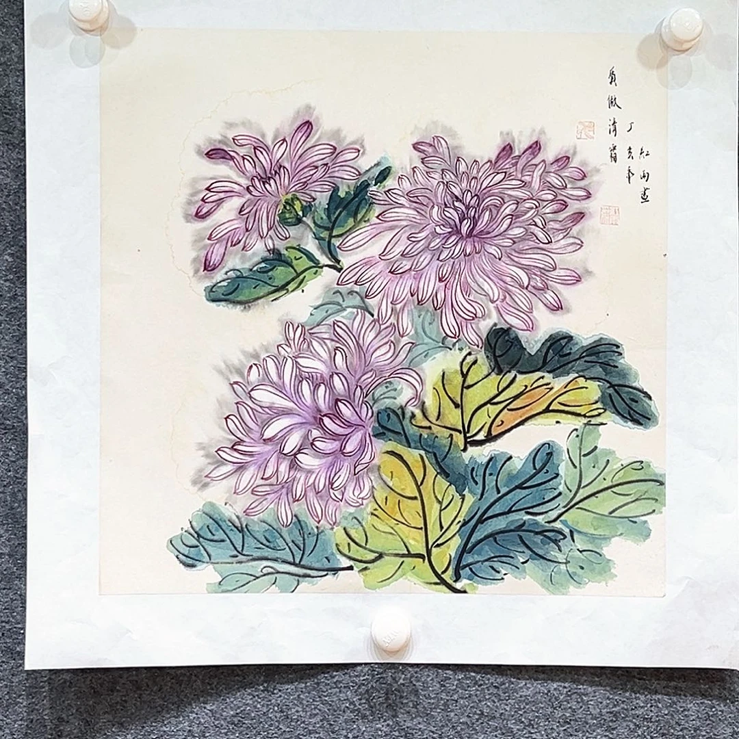 国画菊花系列纯手绘
