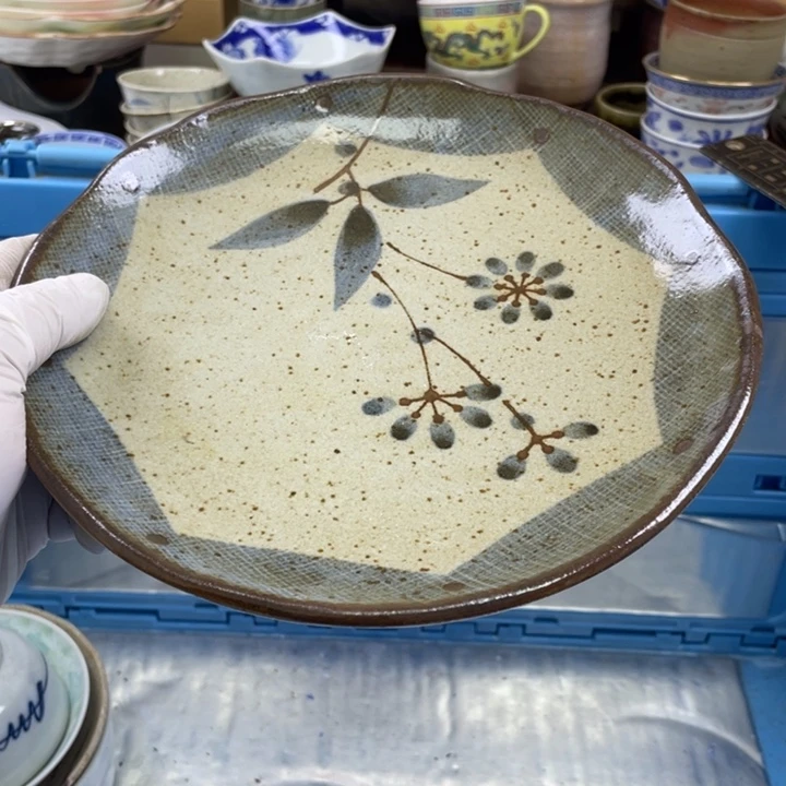 碟开播了开播了开播了