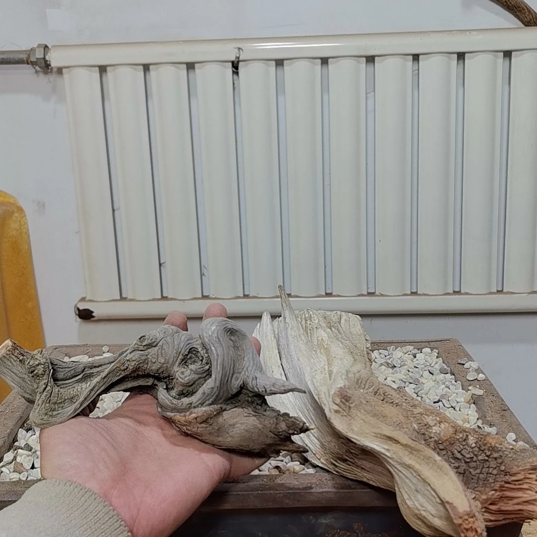 檀香紫檀（小叶紫檀）古**香