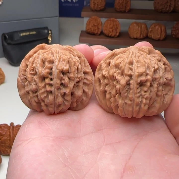 L43-39-37王铁军一代楼C10号