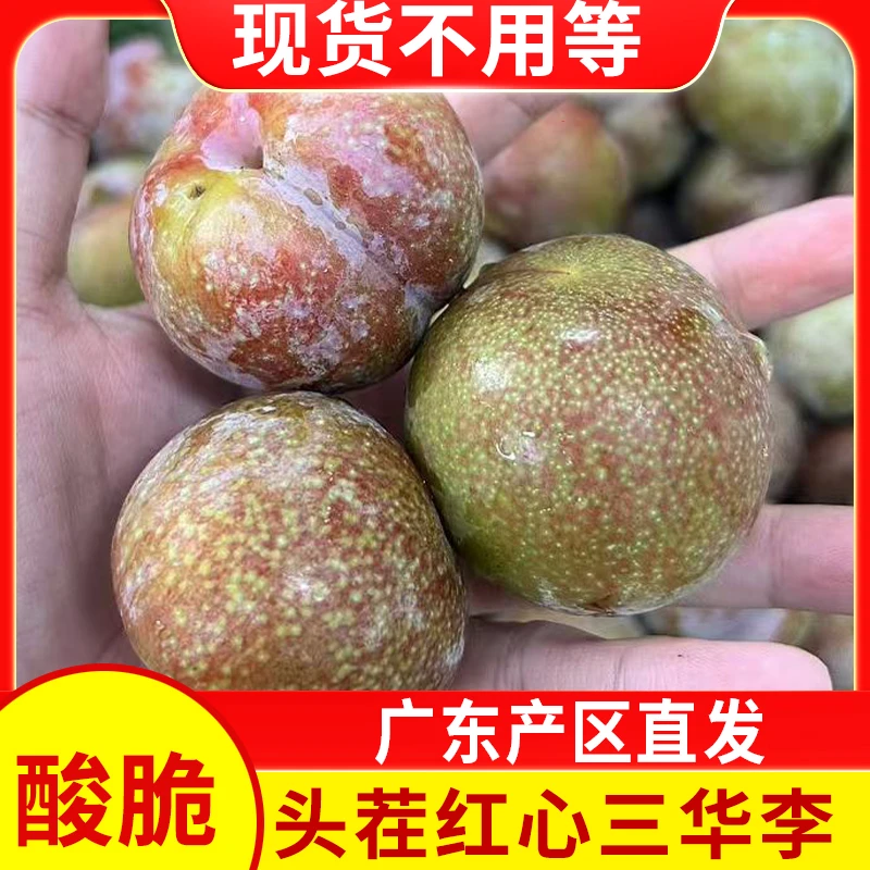 【现货】广东三华李红心李酸涩爽脆李子新鲜当季应季水果早红心李子