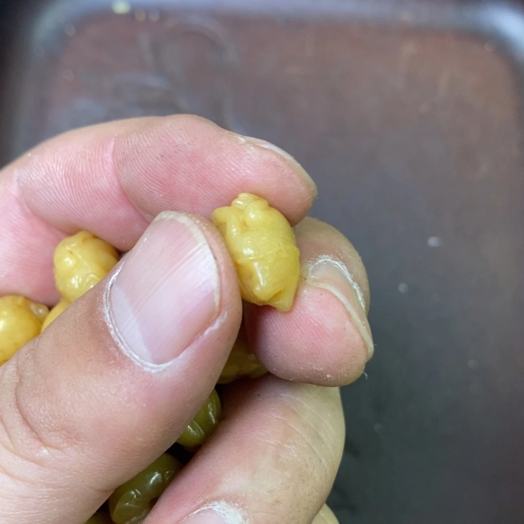 手串/手链驼骨配饰258