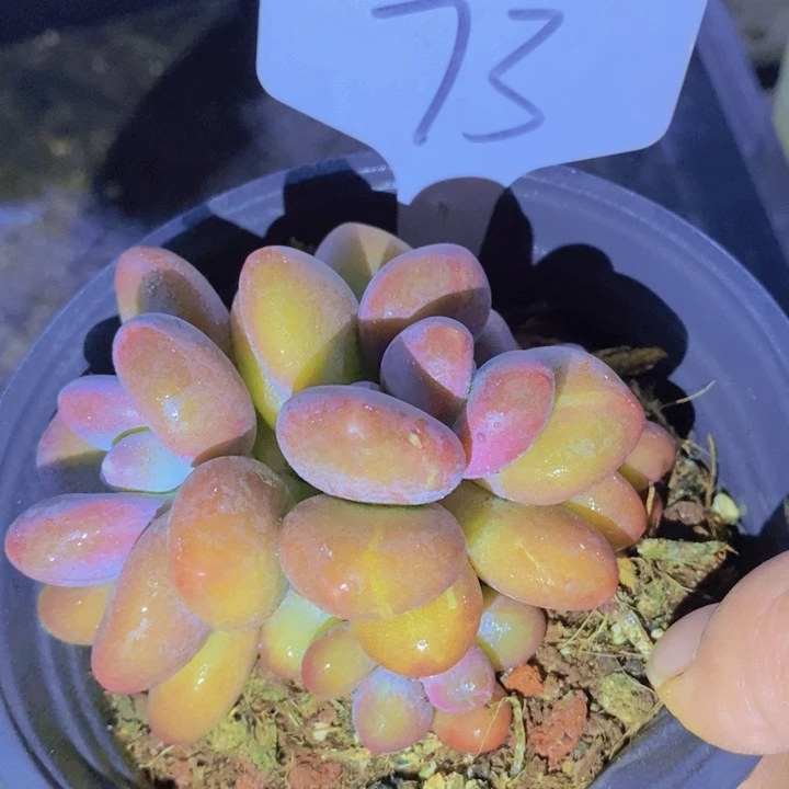 这么久不回来也没什么