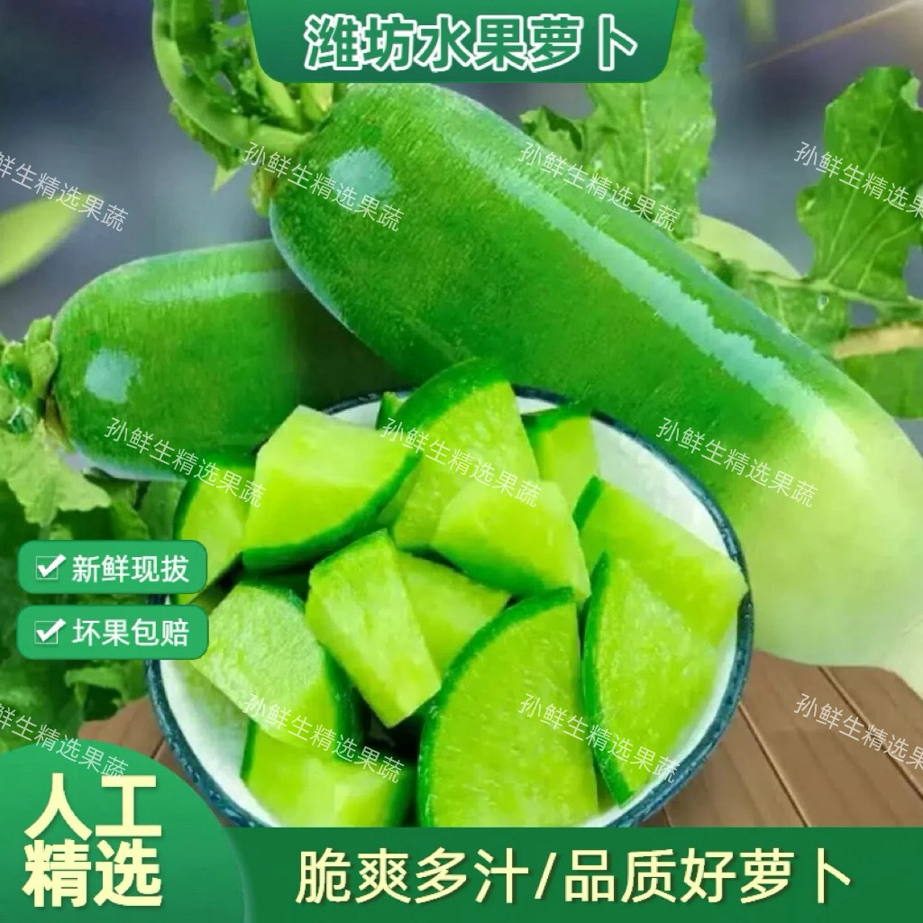 【清脆爽口】潍坊水果萝卜生吃脆甜微辣农产品青萝卜3/5/9斤包邮