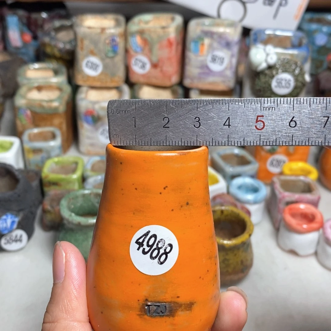 拍3送一个小礼物