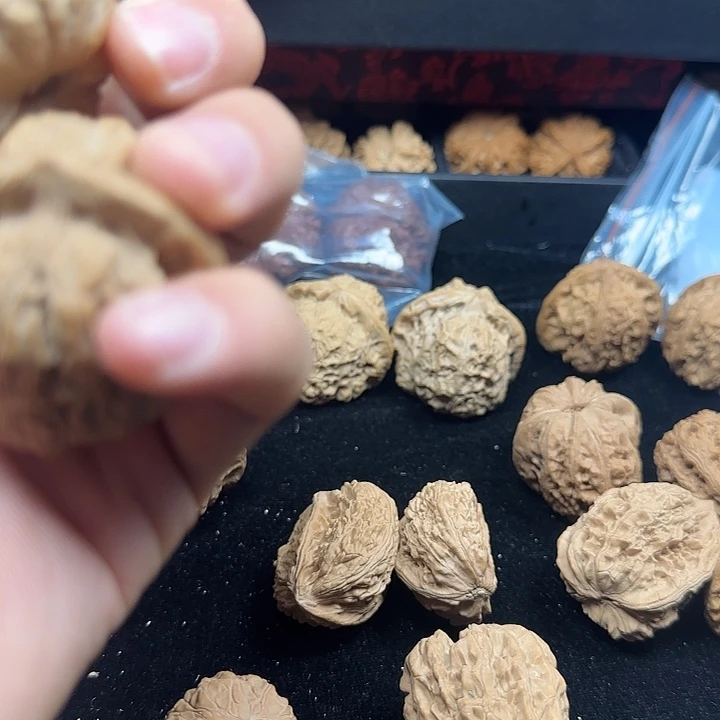 小***、吊坠龙脊菩提啊啊啊啊啊啊南瓜6