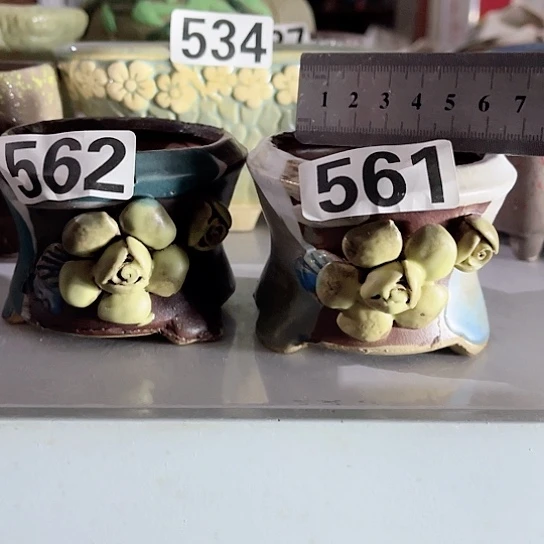 多肉植物花盆花盆