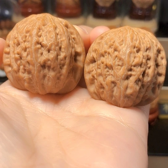 原桩：精品铁锤全品