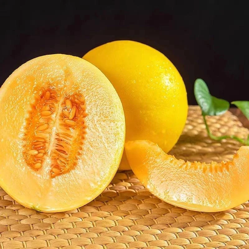 【甘特优品】甘肃民勤头茬沙漠蜜瓜金红宝黄河蜜新鲜当季水果