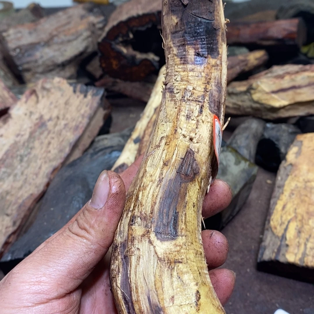 静***轩有机玻璃在线阅读等多种类型