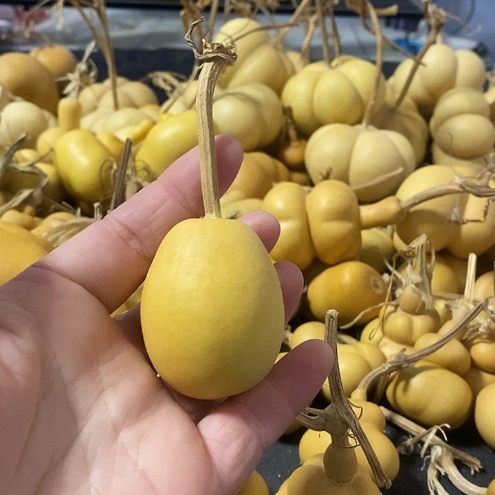 葫芦的颜色很好看