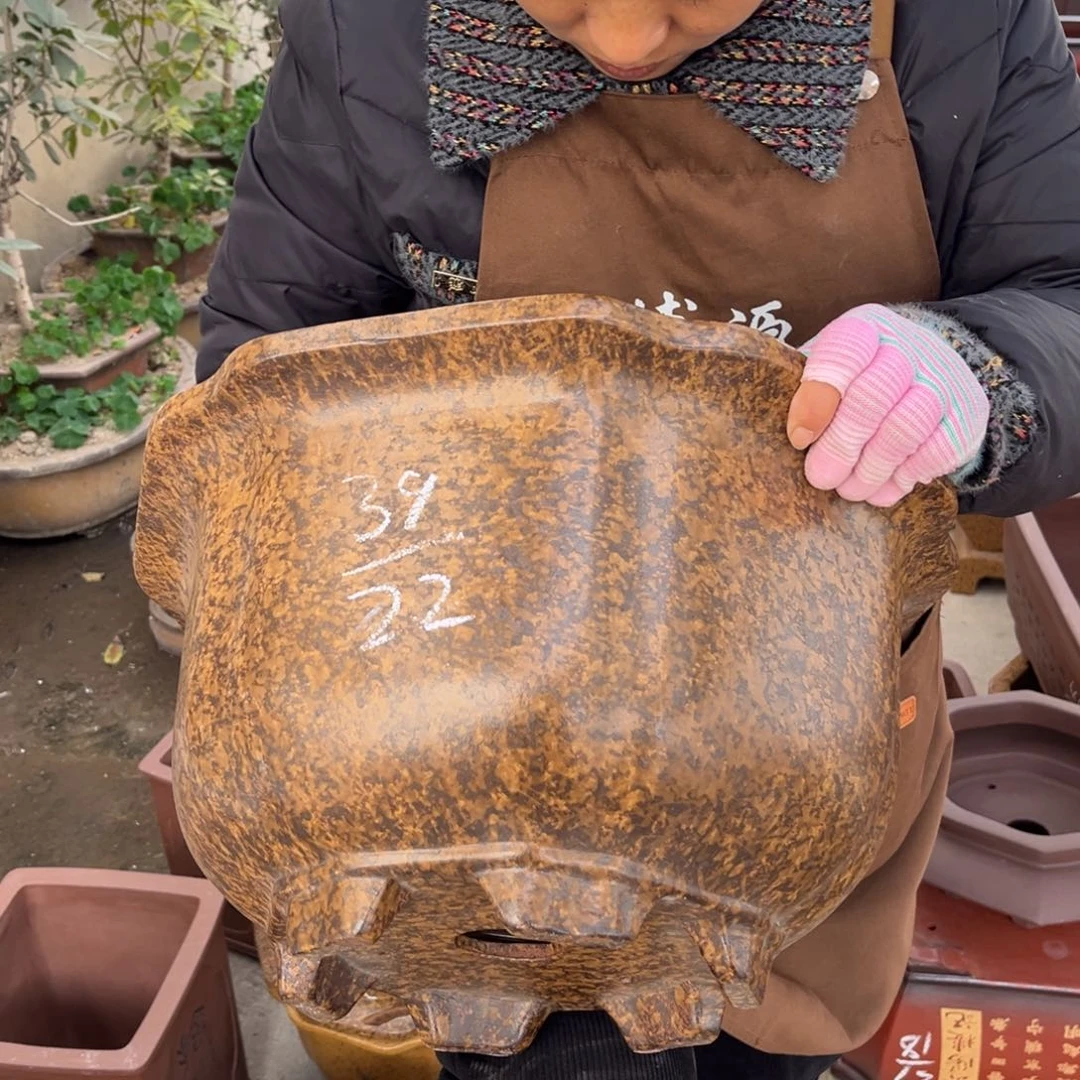 紫砂花盆盆景艺术