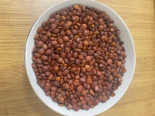 国产生酸枣仁500克369