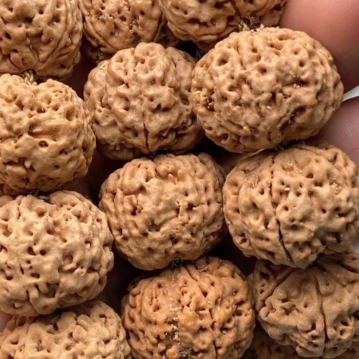 金刚菩提吊坠5瓣21飞碟粗筋双龙