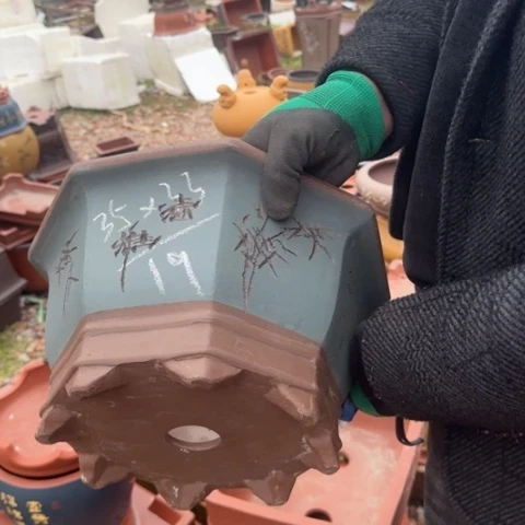 紫砂花盆紫砂花盆盆景盆栽