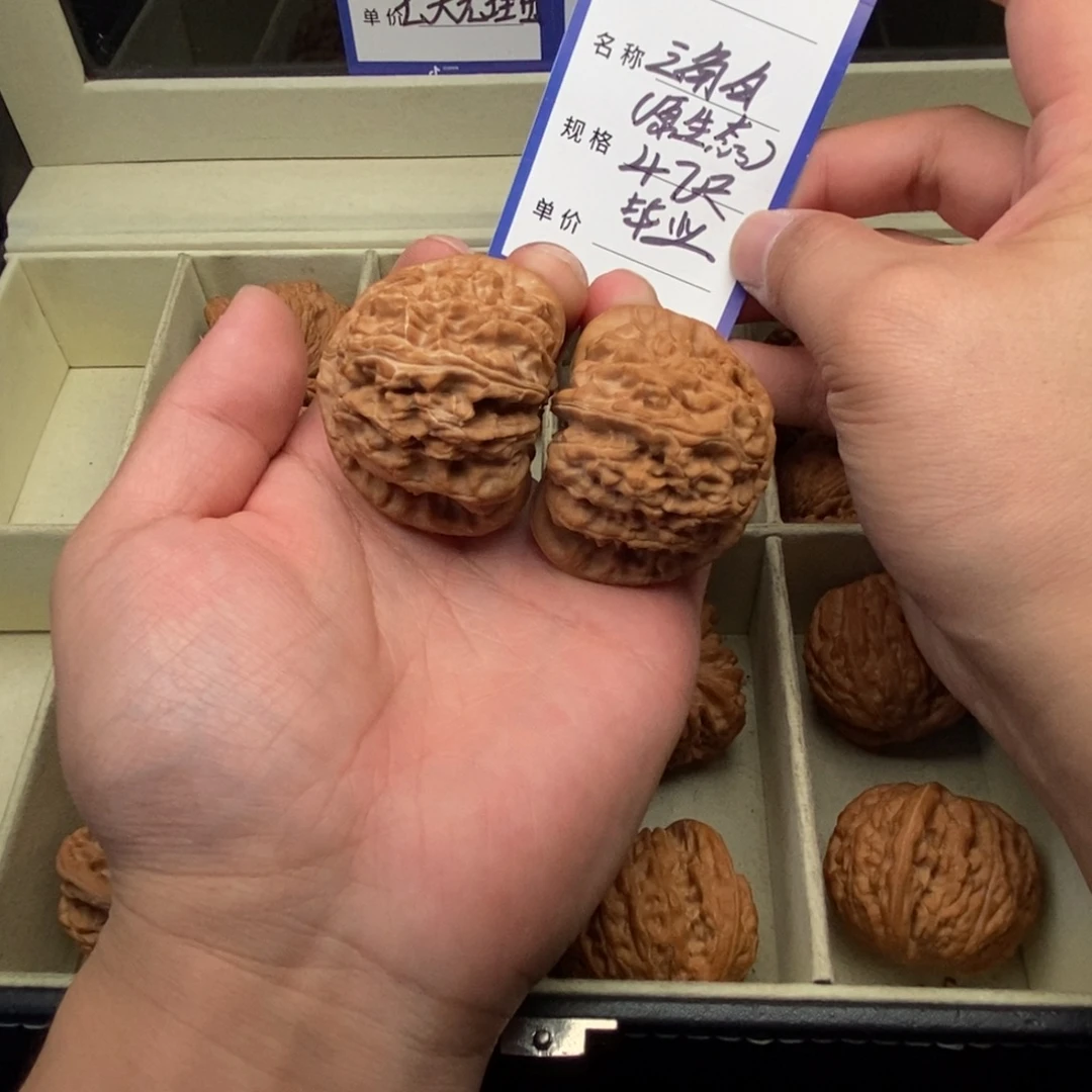 文玩核桃把件三角白（47尺寸）