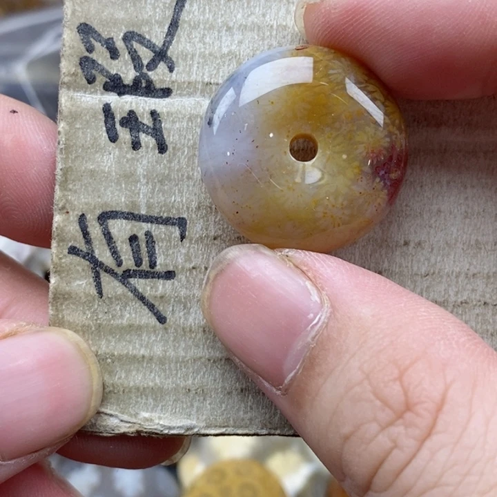 硅化珊瑚（珊瑚玉）未镶嵌颈饰1***1小