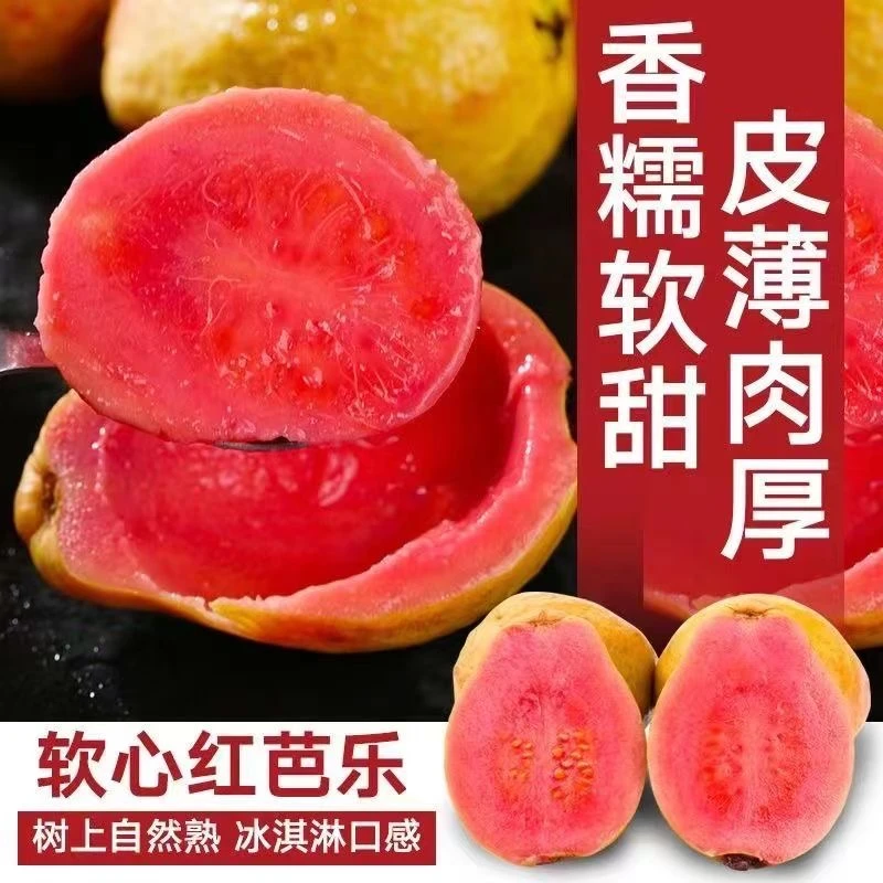 广西红心芭乐、白心芭乐双拼装、番石榴冰激凌软芭乐净重3/5斤