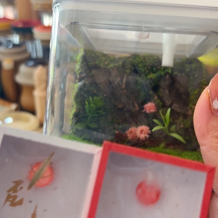 哈哈哈带哈哈三个竹铃