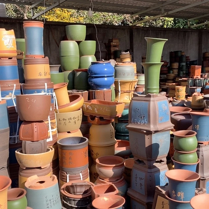 紫砂花盆盆栽花卉苗木种植