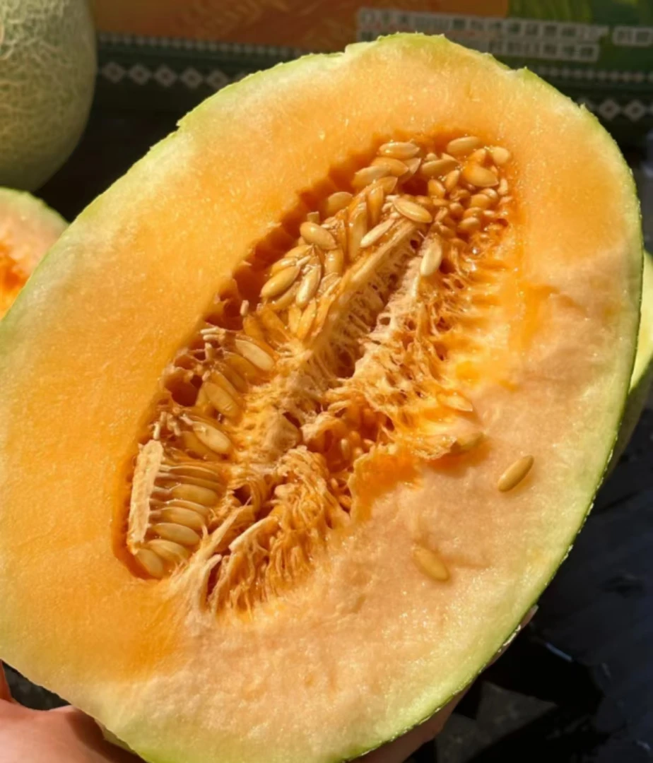 海南小蜜 哈密瓜 皮薄肉厚 脆甜