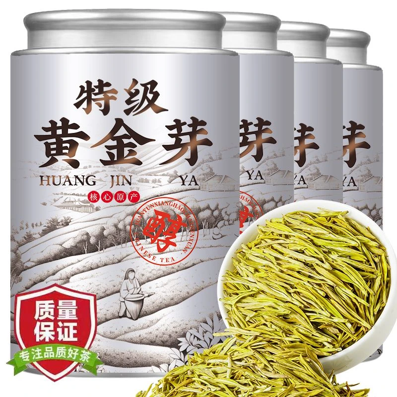 【黄金芽】浙江高山绿茶2025新茶口感鲜爽回甘香浓耐泡豆香浓郁送礼