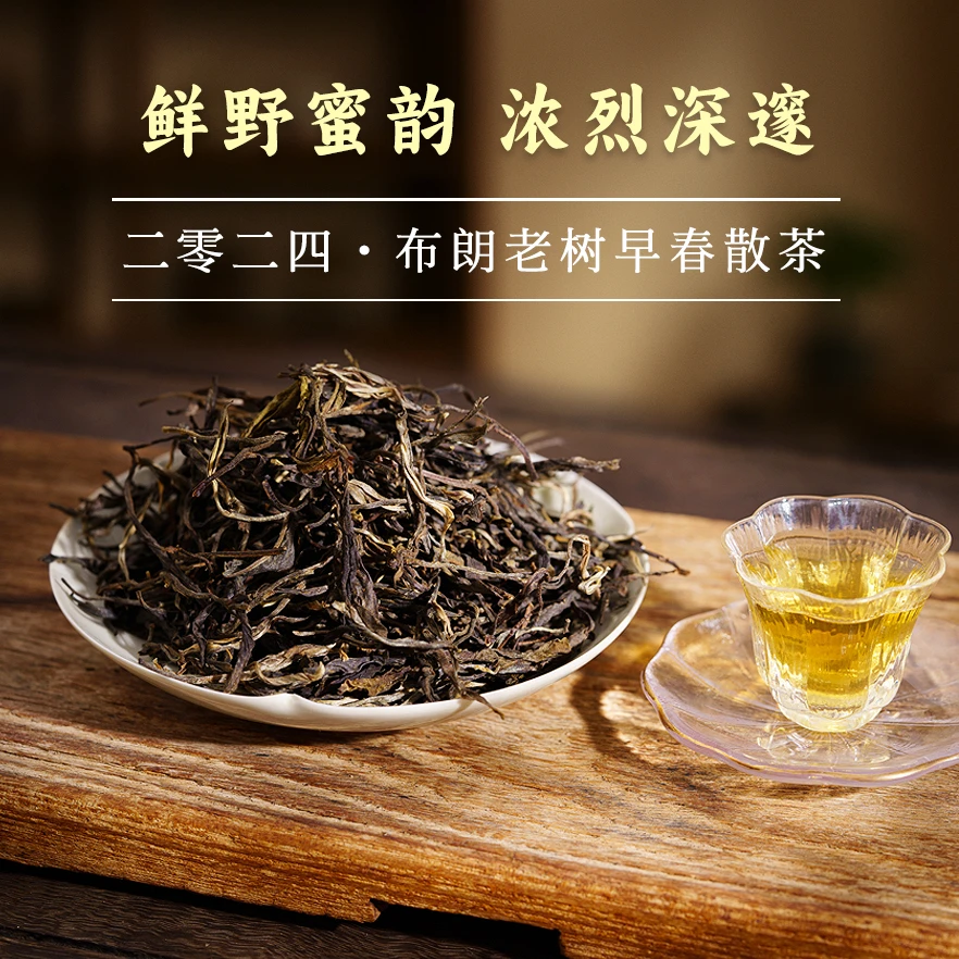 【到手2袋 共300g】云南普洱茶2024年布朗山头春生茶散茶生普