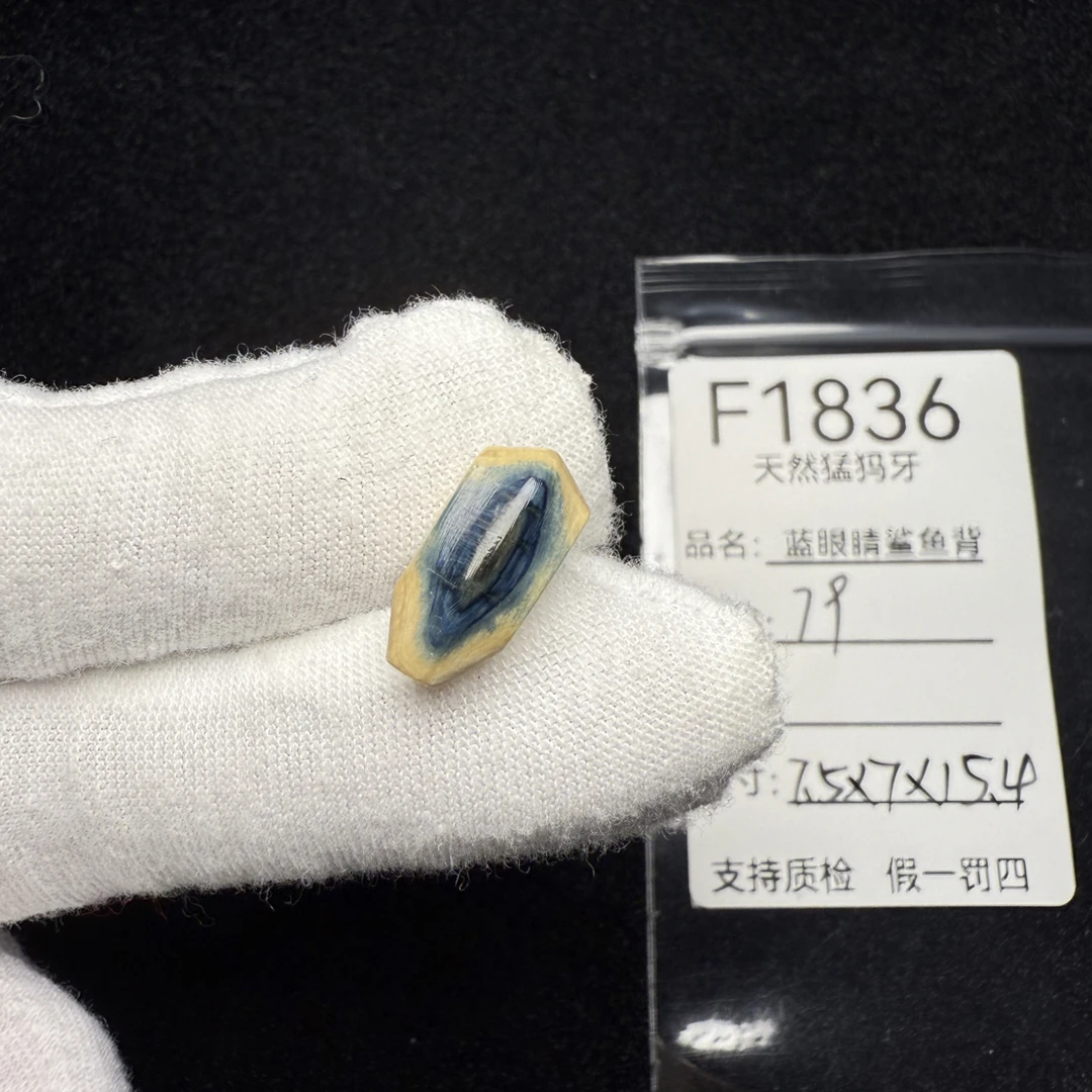 F1836天然猛犸象牙蓝眼蓝皮鲨鱼背蓝眼睛三通冰料7.5*7*15.4mm