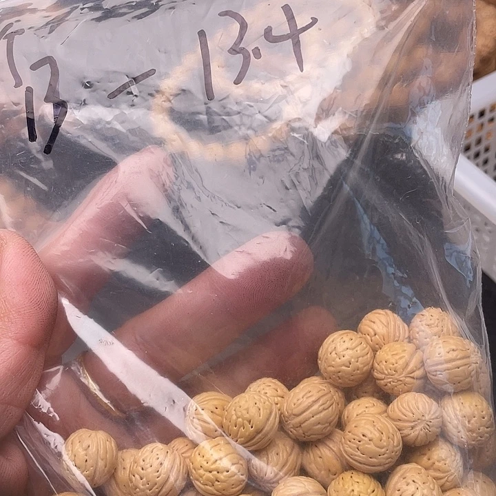 散发小桃核60元优惠活动