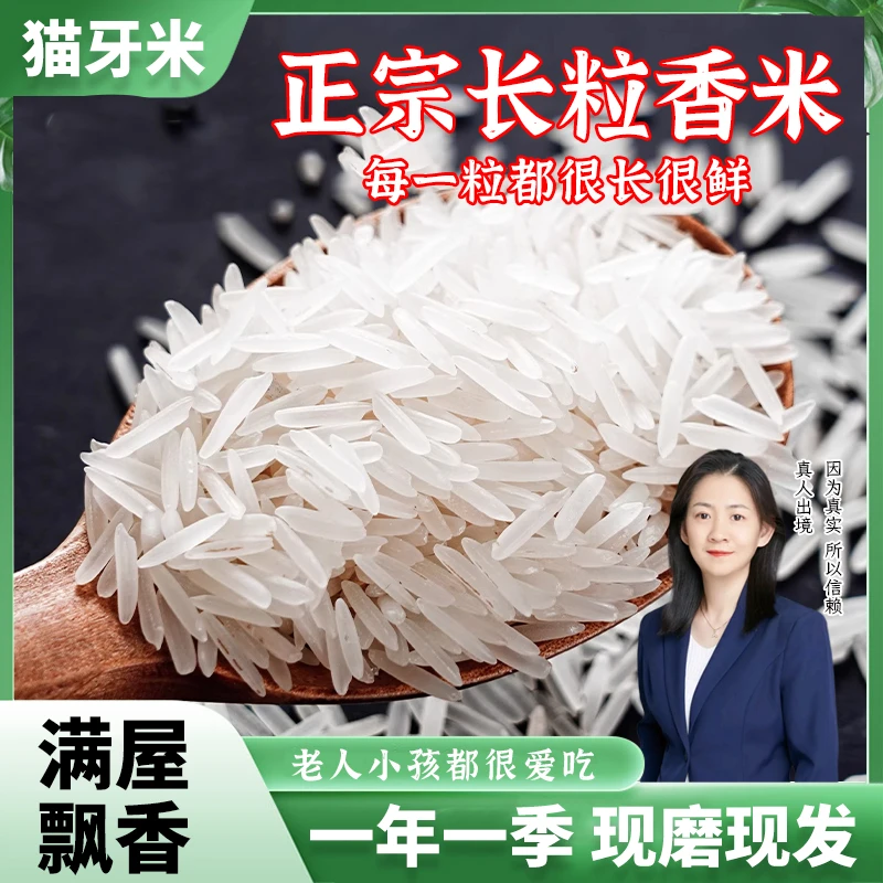 10斤5斤正宗猫牙米25新米长粒香米现磨梯田米不好吃包退孩子爱吃