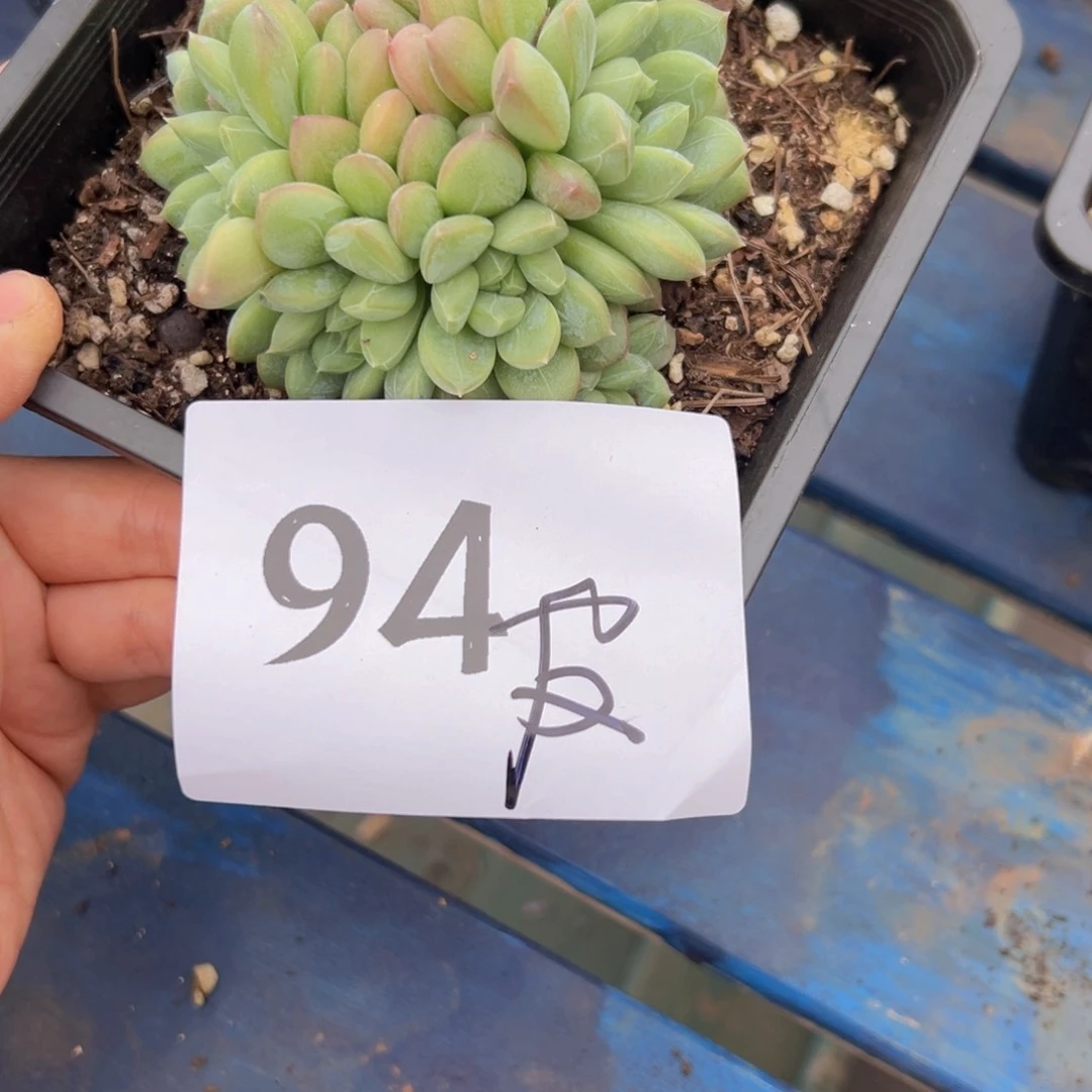 皮***?94。很好吃好吃不错吧吧