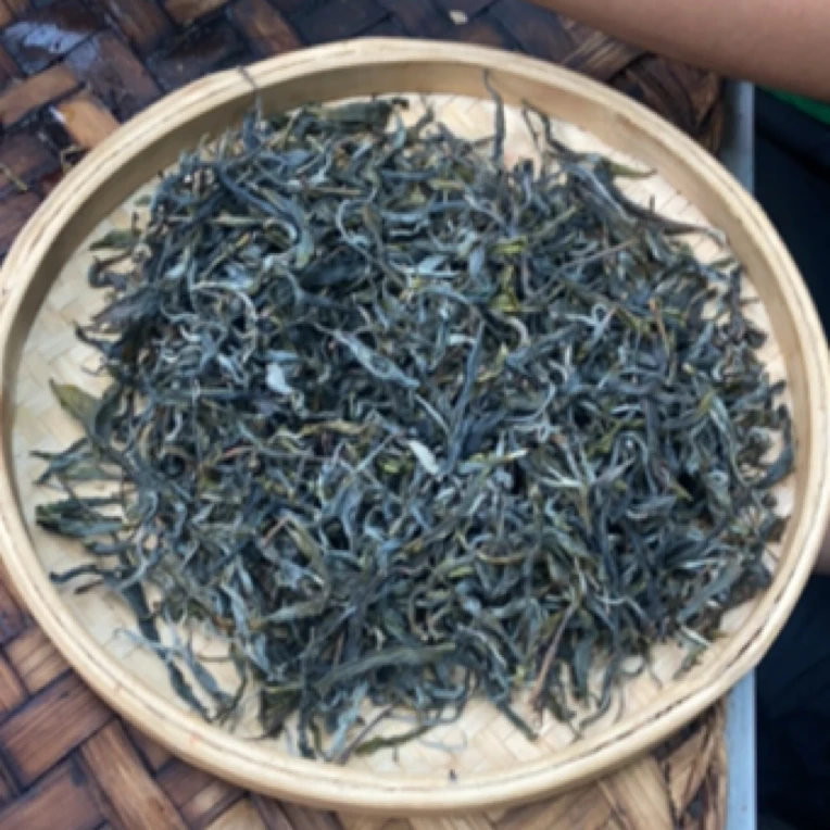 *2025年【冰岛地界1号·春·大树】晒青茶【生散茶】-5月28日【19】