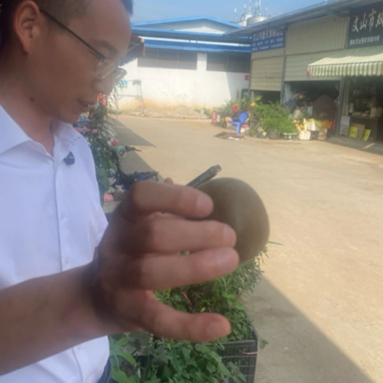 一村一品山野好货——4 精选罗汉果