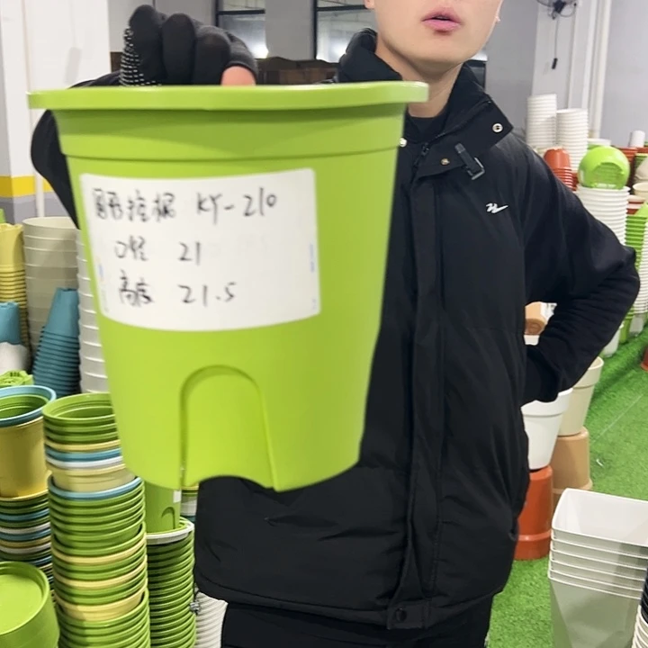 正品圆控口21高21果绿色8只无托