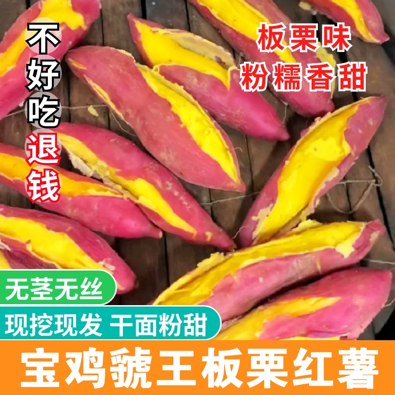 现挖陕西宝鸡虢王板栗地瓜红薯蜜普沙地新鲜番著农家自种小香薯