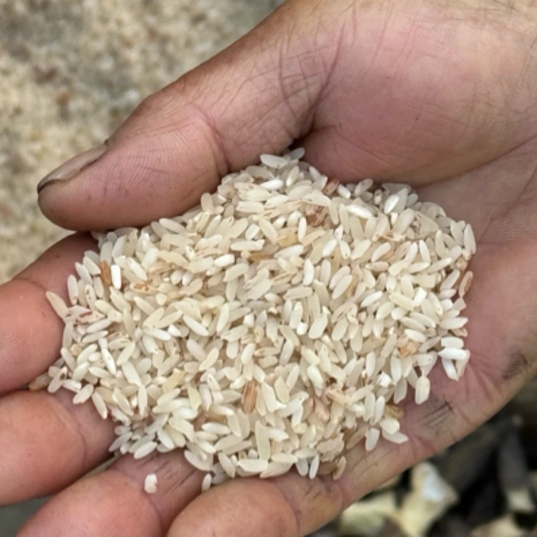 云南赶集现收红-软-米【山脊甄选】搭配蔬菜