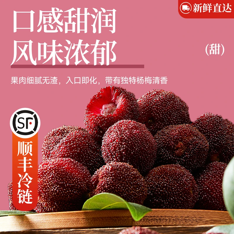 10A正宗浙江台州东魁杨梅头茬果新鲜现摘臭氧杀菌氮气锁鲜礼盒装