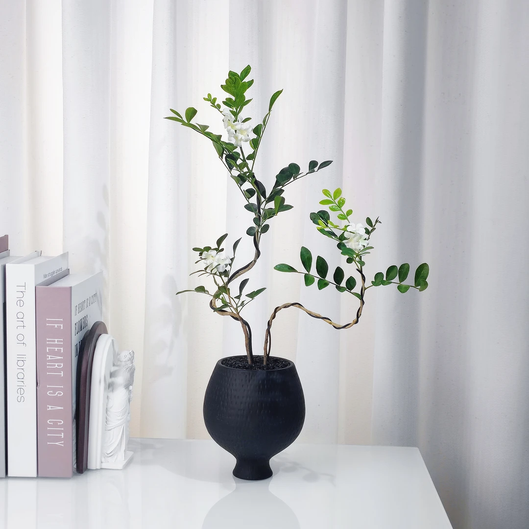 造型九里香室内高档盆栽可开花