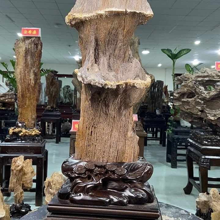 石材大自然的秘密