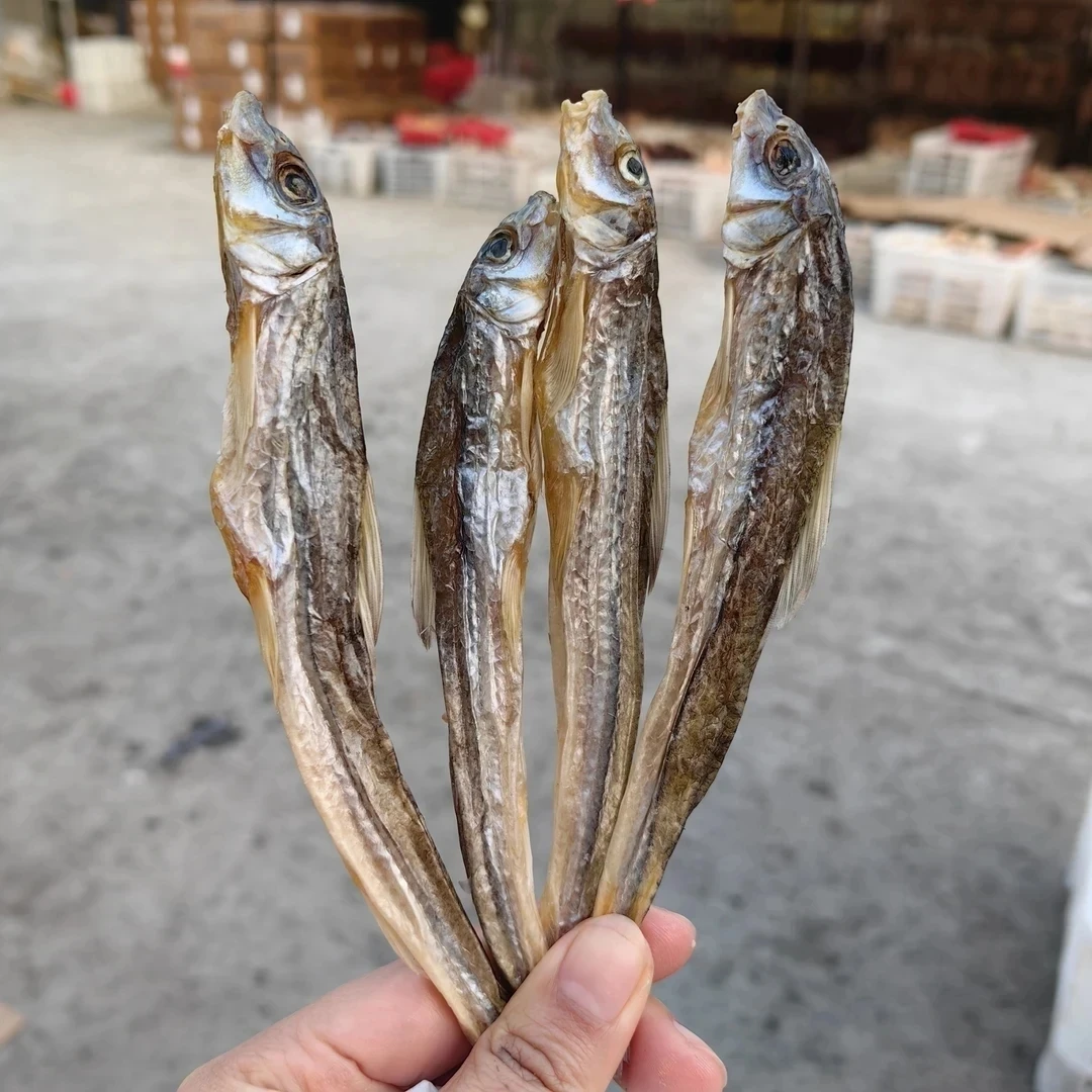 大别山生态沙锥鱼干鱼年货(鱼中贵族)