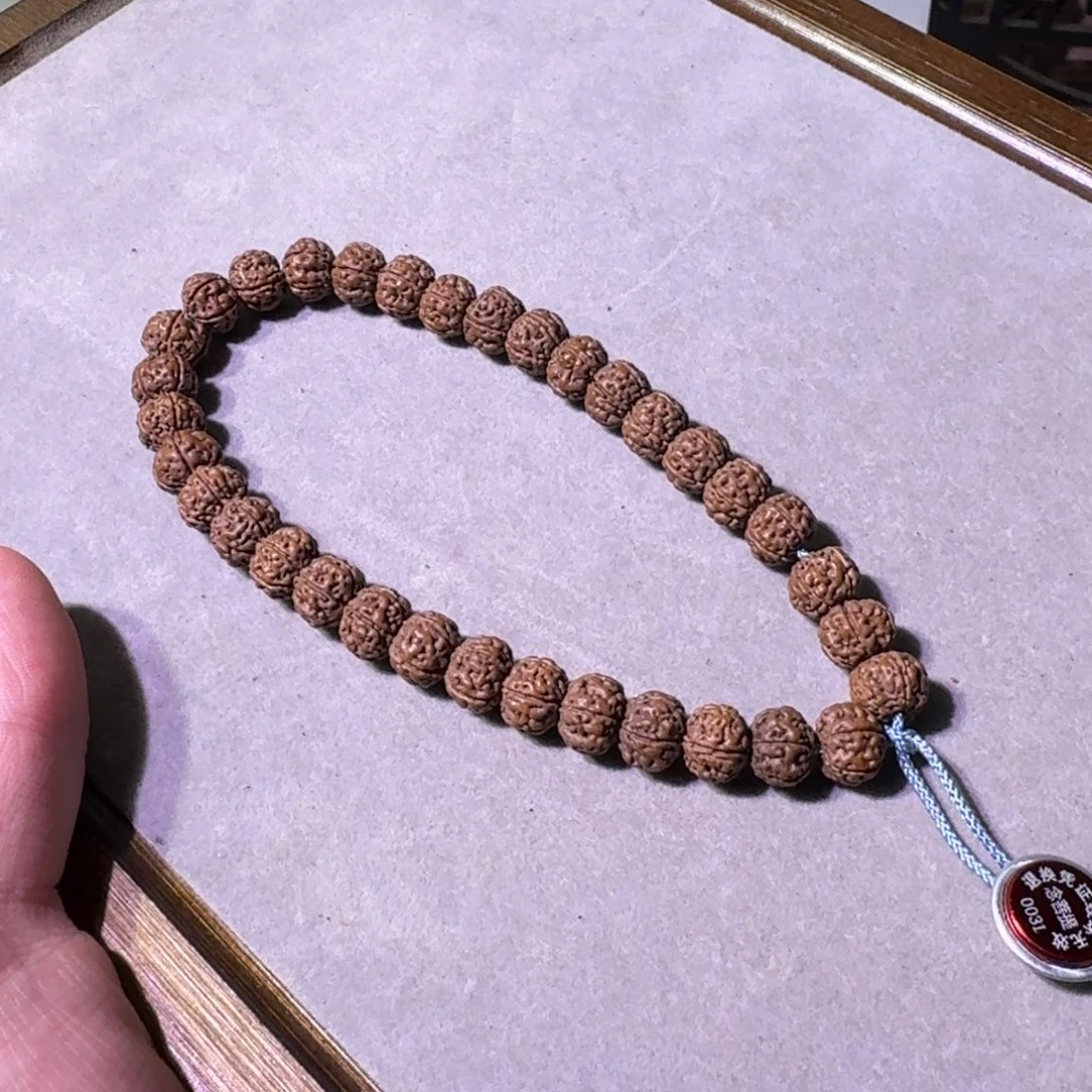 穿***风金刚菩提吊坠勿里达老树王入门10手持