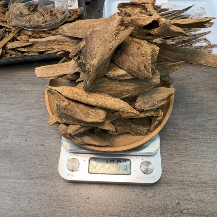 开播福利！海南土沉虫漏100克！