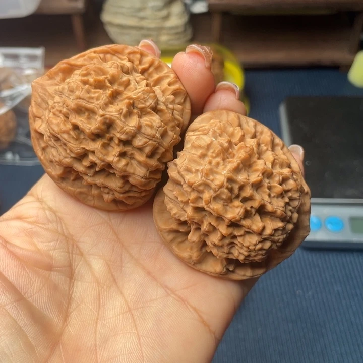 核桃50官帽888888