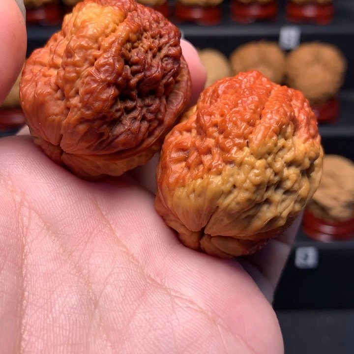 文玩核桃把件七彩鱼籽金蟾39